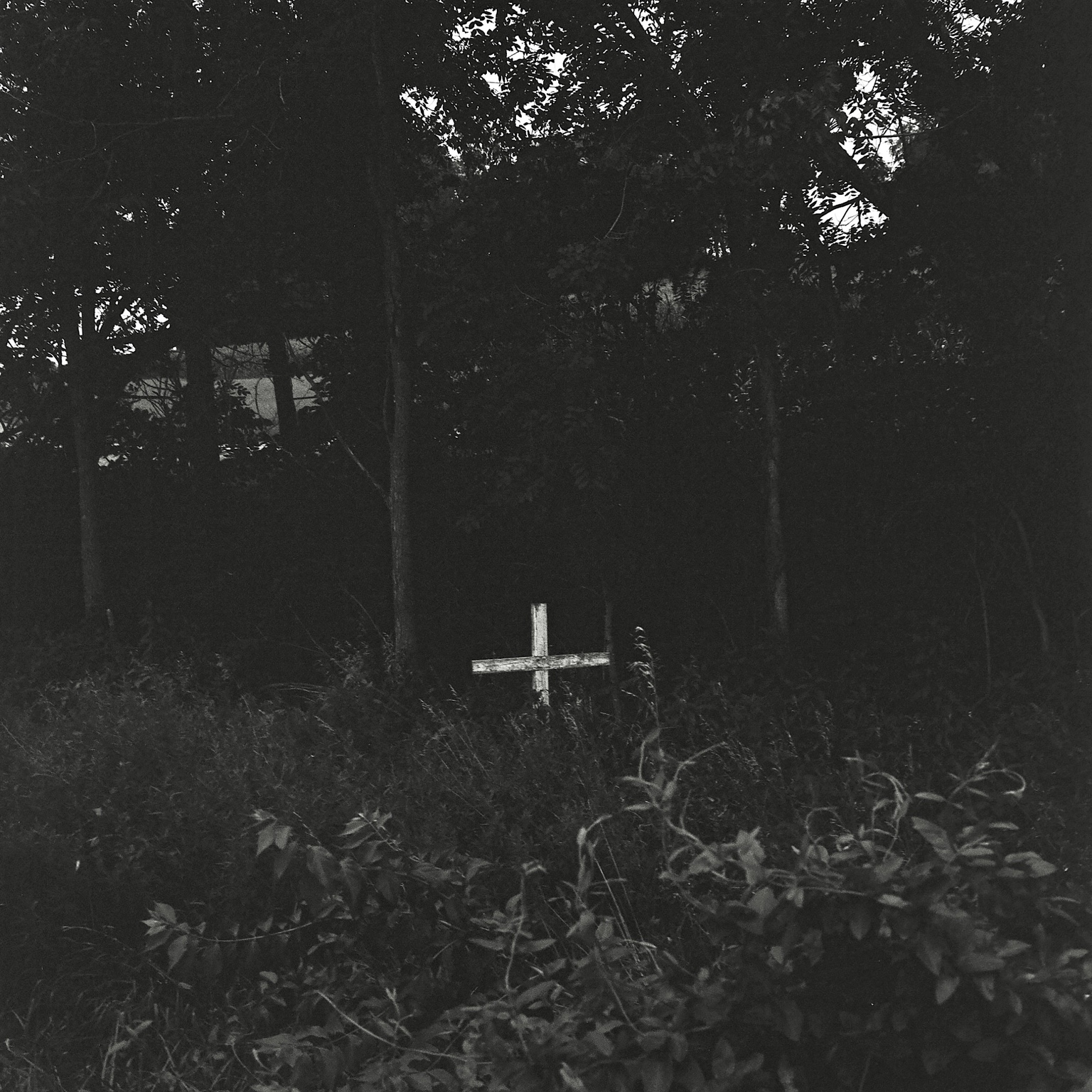 Roadside memorial cross standing beside a field